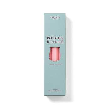 TRUDON 로얄 캔들(6pcs/색상선택 가능) | 신세계V