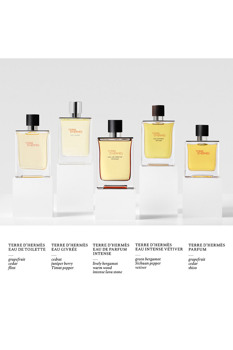 떼르 데르메스 오드퍼퓸 인텐스 100ml