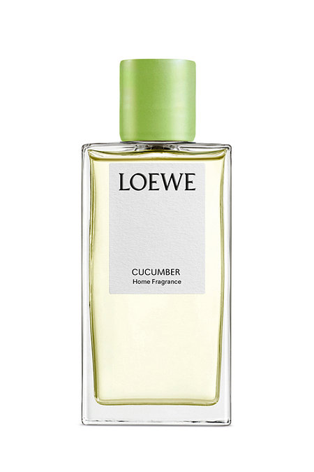 LOEWE PERFUMES 홈 프래그런스 큐컴버 | 신세계V