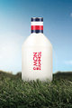 [타미힐피거] 타미걸 나우 EDT 100ML