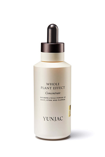 YUNJAC 전초 컨센트레이트 120ml | 신세계V