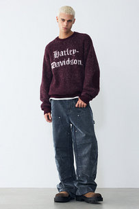 Model’s INFO