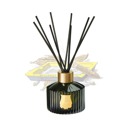 TRUDON 디퓨저 에르네스토 350ml | 신세계V