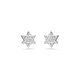 [스와로브스키/본사정품] Dextera Star 스터드 귀걸이 5700322