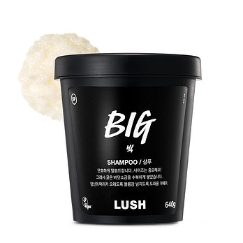 LUSH 러쉬 빅 640g - 샴푸 | 신세계V