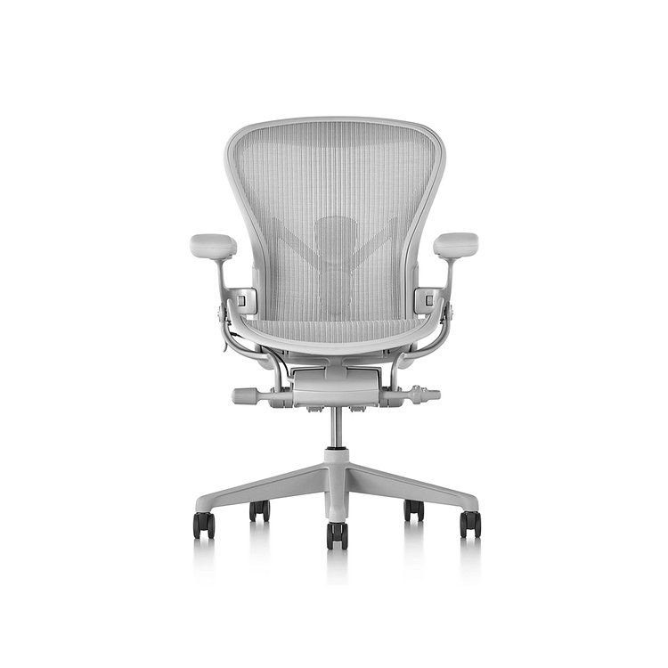 Aeron Chair - Full Option (Mineral)