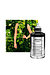 소울 오브 더 포레스트 EDP 100ML