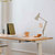 [Anglepoise]  90 Mini Mini Desk Lamp Jasmine White