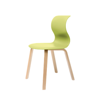 FLOTOTTO [Flototto] Pro 6 (Wood Leg) Chair_Green | 신세계V