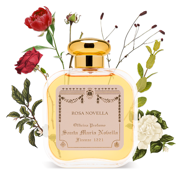 로사 노벨라 오드코롱 100ml