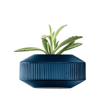 LSA [LSA] 엘에스에이 로툰다 화병 와이드 14cm 사파이어 / LSA-G1655-14-610 | 신세계V