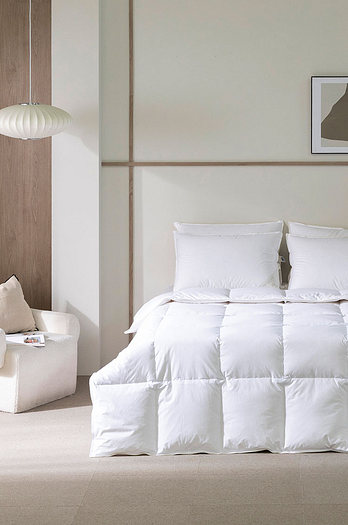 THE JOSUN HOTEL [더조선호텔] 럭스 헝가리 구스다운 이불솜 맥시멈필 Q 1050G | 신세계V