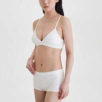 Model’s INFO