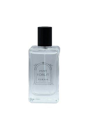 PARNAS HOTEL COLLECTION(파르나스 호텔 컬렉션) 민트 포레스트 룸스프레이 100ml (+쇼핑백 증정) | 신세계V