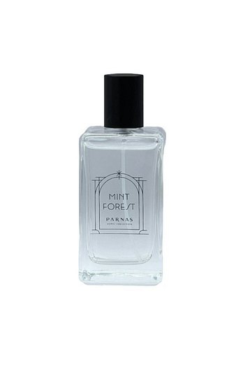 PARNAS HOTEL COLLECTION 민트 포레스트 룸스프레이 100ml (+쇼핑백 증정) | 신세계V