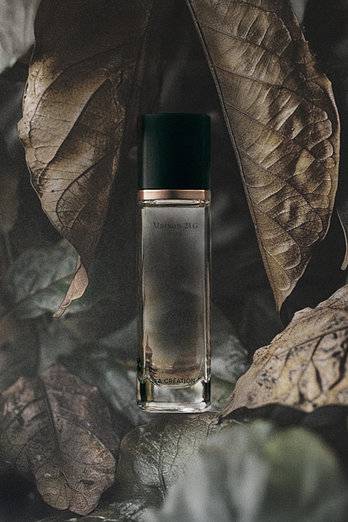 MAISON 21G 오드퍼퓸EC 하바나 하베스트 30ml | 신세계V