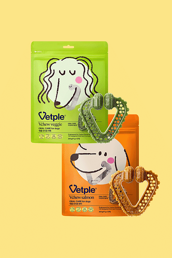 VETPLE [동아제약 벳플] 강아지 덴탈껌 브이츄(1입 당 12개) (연어맛, 야채맛 중 택 1) | 신세계V