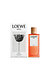 로에베 솔로 엘라 오 드 퍼퓸 100ML
