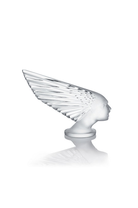 LALIQUE 빅투와 스큘뜌어 | 신세계V