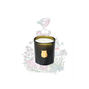 TRUDON 쁘띠 캔들 조세핀 70g | 신세계V