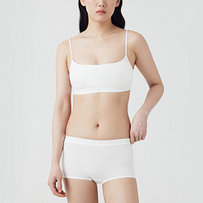 Model’s INFO