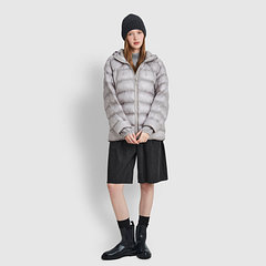 Model’s INFO