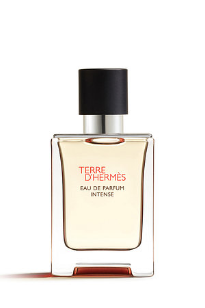 HERMÈS(에르메스) 떼르 데르메스 오드퍼퓸 인텐스 50ml | 신세계V