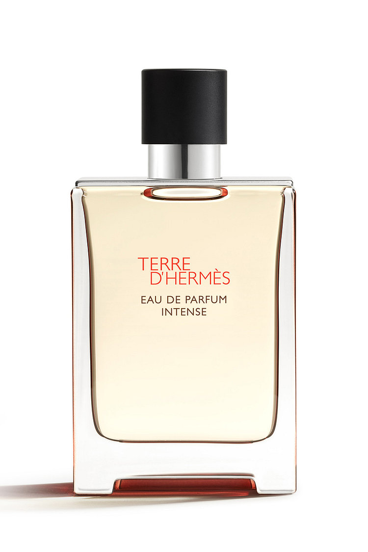떼르 데르메스 오드퍼퓸 인텐스 100ml