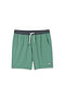 그린