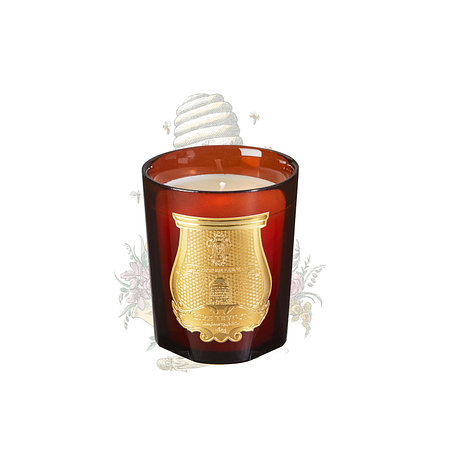 TRUDON 클래식 캔들 씨흐 270g | 신세계V