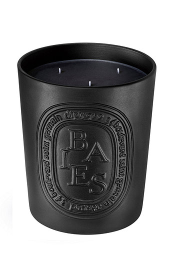 DIPTYQUE 베리 라지 캔들 베이 | 신세계V