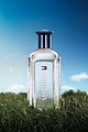 [타미힐피거] 타미 포에버 EDT 100ML