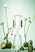 [더조선호텔] 디퓨저 Garden 1914 클리어 330ml