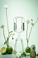 [더조선호텔] 디퓨저 Garden 1914 클리어 330ml