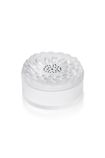 LALIQUE 달리아 박스 | 신세계V