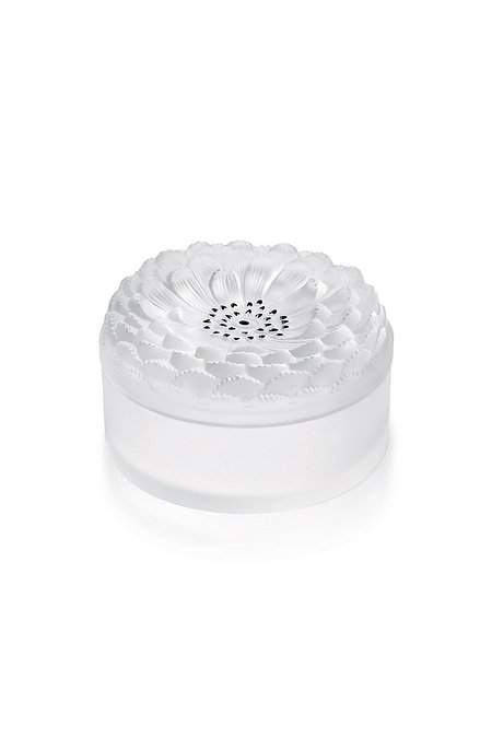 LALIQUE 달리아 박스 | 신세계V
