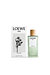 로에베 아이레 수틸레사 오 드 뚜왈렛 100ML