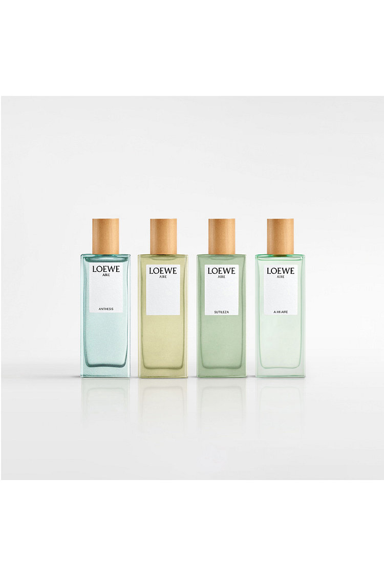 로에베 아이레 수틸레사 오 드 뚜왈렛 100ML