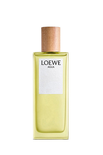 LOEWE PERFUMES(로에베 퍼퓸) 로에베 아구아 오 드 뚜왈렛 50ML | 신세계V