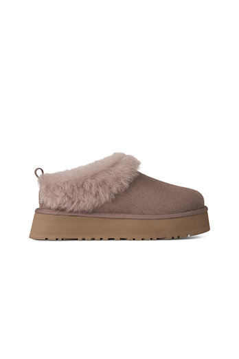 UGG [WOMEN] 양모 칼라 앵클 슬리퍼 (타젤) | 신세계V