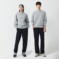 Model’s INFO