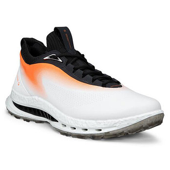 ECCO [에코코리아] M 골프 바이옴 C5 GTX 132604-61921 | 신세계V