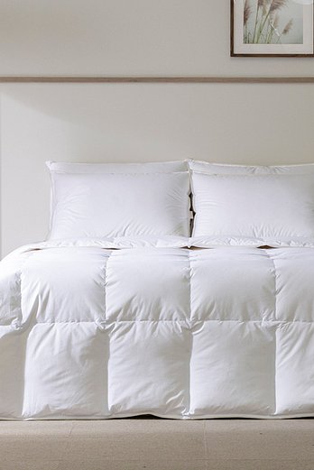 THE JOSUN HOTEL [더조선호텔] 럭스 헝가리 구스다운 이불 미디엄필Q + 럭스 구스다운베개 50x70 세트 (구스이불1+구스베개2) | 신세계V