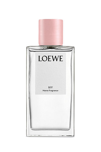 LOEWE PERFUMES 홈 프래그런스 아이비 | 신세계V