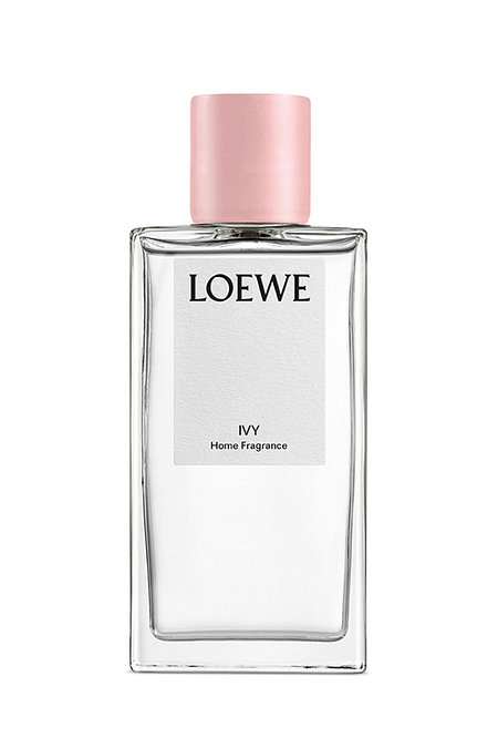 LOEWE PERFUMES 홈 프래그런스 아이비 | 신세계V