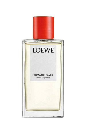 LOEWE PERFUMES(로에베 퍼퓸) 홈 프래그런스 토마토 리프 | 신세계V