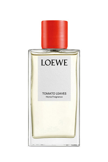 LOEWE PERFUMES(로에베 퍼퓸) 홈 프래그런스 토마토 리프 | 신세계V